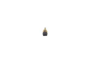 Sensor, Kühlmitteltemperatur BOSCH 0 280 130 040