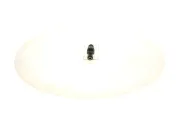 Einspritzventil BOSCH 0 280 155 823