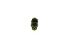 Einspritzventil BOSCH 0 280 156 080 Bild Einspritzventil BOSCH 0 280 156 080