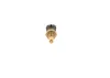 Sensor, Kühlmitteltemperatur BOSCH 0 281 002 704 Bild Sensor, Kühlmitteltemperatur BOSCH 0 281 002 704
