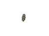 Düsenstock BOSCH 0 432 217 248 Bild Düsenstock BOSCH 0 432 217 248