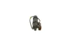 Düsenstock BOSCH 0 432 217 309 Bild Düsenstock BOSCH 0 432 217 309