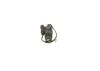 Düsenstock BOSCH 0 432 217 309 Bild Düsenstock BOSCH 0 432 217 309