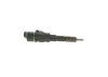 Einspritzdüse BOSCH 0 445 110 076 Bild Einspritzdüse BOSCH 0 445 110 076
