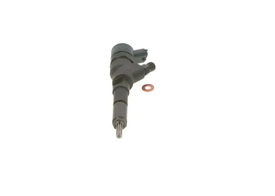 Einspritzdüse BOSCH 0 445 110 076 Bild Einspritzdüse BOSCH 0 445 110 076