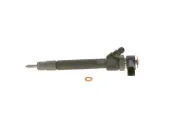 Einspritzdüse BOSCH 0 445 110 139