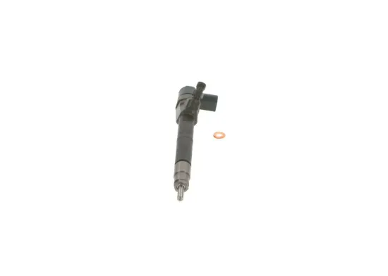 Einspritzdüse BOSCH 0 445 110 191 Bild Einspritzdüse BOSCH 0 445 110 191