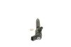 Einspritzdüse BOSCH 0 445 110 302 Bild Einspritzdüse BOSCH 0 445 110 302