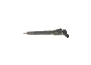 Einspritzdüse BOSCH 0 445 110 418