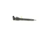 Einspritzdüse BOSCH 0 445 110 546 Bild Einspritzdüse BOSCH 0 445 110 546