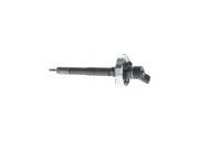 Einspritzdüse BOSCH 0 445 110 883