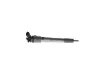 Einspritzdüse BOSCH 0 445 110 895 Bild Einspritzdüse BOSCH 0 445 110 895