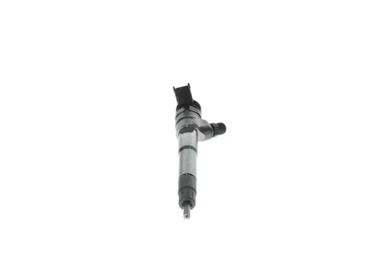 Einspritzdüse BOSCH 0 445 110 895 Bild Einspritzdüse BOSCH 0 445 110 895