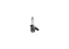 Einspritzdüse BOSCH 0 445 110 980 Bild Einspritzdüse BOSCH 0 445 110 980