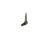 Einspritzdüse BOSCH 0 445 117 004 Bild Einspritzdüse BOSCH 0 445 117 004