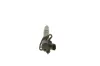 Einspritzdüse BOSCH 0 445 117 052 Bild Einspritzdüse BOSCH 0 445 117 052