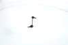Stange/Strebe, Stabilisator Vorderachse rechts BOSCH 0 986 141 314 Bild Stange/Strebe, Stabilisator Vorderachse rechts BOSCH 0 986 141 314