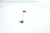 Stange/Strebe, Stabilisator Vorderachse BOSCH 0 986 141 513 Bild Stange/Strebe, Stabilisator Vorderachse BOSCH 0 986 141 513