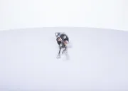 Relais, Starter BOSCH 1 337 210 791