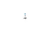 Glühlampe, Fernscheinwerfer 12 V 55 W H1 BOSCH 1 987 301 135 Bild Glühlampe, Fernscheinwerfer 12 V 55 W H1 BOSCH 1 987 301 135