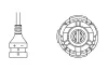 Glühlampe, Fernscheinwerfer 12 V 30 W BOSCH 1 987 301 555 Bild Glühlampe, Fernscheinwerfer 12 V 30 W BOSCH 1 987 301 555