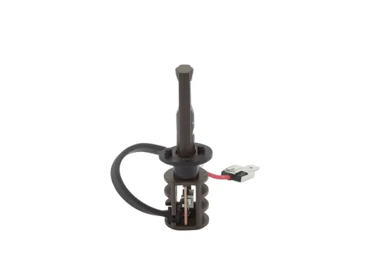 Glühlampe, Fernscheinwerfer 12 V 13 W LED H1 BOSCH 1 987 301 801 Bild Glühlampe, Fernscheinwerfer 12 V 13 W LED H1 BOSCH 1 987 301 801