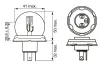 Glühlampe, Fernscheinwerfer 12 V 45/40 W R2 (Bilux) BOSCH 1 987 302 826 Bild Glühlampe, Fernscheinwerfer 12 V 45/40 W R2 (Bilux) BOSCH 1 987 302 826