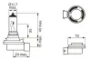 Glühlampe, Fernscheinwerfer 12 V 35 W H8 BOSCH 1 987 302 081 Bild Glühlampe, Fernscheinwerfer 12 V 35 W H8 BOSCH 1 987 302 081