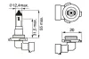 Glühlampe, Nebelscheinwerfer 12 V 42 W H10 BOSCH 1 987 302 083 Bild Glühlampe, Nebelscheinwerfer 12 V 42 W H10 BOSCH 1 987 302 083