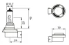 Glühlampe, Fernscheinwerfer 12 V 55 W H11 BOSCH 1 987 301 339 Bild Glühlampe, Fernscheinwerfer 12 V 55 W H11 BOSCH 1 987 301 339