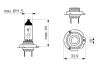 Glühlampe, Fernscheinwerfer 12 V 65 W H18 BOSCH 1 987 302 091 Bild Glühlampe, Fernscheinwerfer 12 V 65 W H18 BOSCH 1 987 302 091