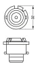 Glühlampe, Fernscheinwerfer 85 V 35 W D2R (Gasentladungslampe) BOSCH 1 987 302 903 Bild Glühlampe, Fernscheinwerfer 85 V 35 W D2R (Gasentladungslampe) BOSCH 1 987 302 903