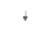 Glühlampe, Fernscheinwerfer 85 V 35 W D2S (Gasentladungslampe) BOSCH 1 987 302 904 Bild Glühlampe, Fernscheinwerfer 85 V 35 W D2S (Gasentladungslampe) BOSCH 1 987 302 904
