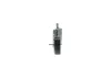 Riemenspanner, Keilrippenriemen BOSCH 1 987 600 306 Bild Riemenspanner, Keilrippenriemen BOSCH 1 987 600 306