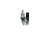 Riemenspanner, Keilrippenriemen BOSCH 1 987 600 353 Bild Riemenspanner, Keilrippenriemen BOSCH 1 987 600 353