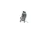 Riemenspanner, Keilrippenriemen BOSCH 1 987 600 388 Bild Riemenspanner, Keilrippenriemen BOSCH 1 987 600 388