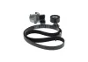 Keilrippenriemensatz BOSCH 1 987 600 731 Bild Keilrippenriemensatz BOSCH 1 987 600 731