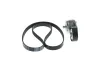 Keilrippenriemensatz BOSCH 1 987 600 763 Bild Keilrippenriemensatz BOSCH 1 987 600 763