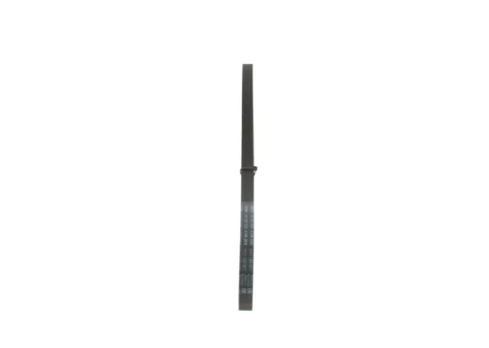 Keilrippenriemen BOSCH 1 987 947 559 Bild Keilrippenriemen BOSCH 1 987 947 559