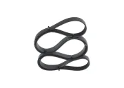 Keilrippenriemen BOSCH 1 987 947 562