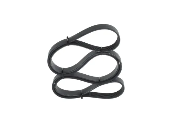 Keilrippenriemen BOSCH 1 987 947 562 Bild Keilrippenriemen BOSCH 1 987 947 562