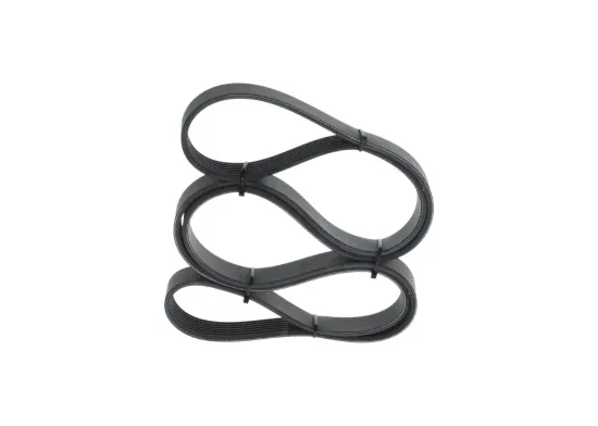 Keilrippenriemen BOSCH 1 987 947 562 Bild Keilrippenriemen BOSCH 1 987 947 562