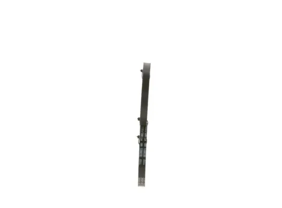 Keilriemen BOSCH 1 987 947 646 Bild Keilriemen BOSCH 1 987 947 646