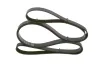 Keilrippenriemen BOSCH 1 987 948 499 Bild Keilrippenriemen BOSCH 1 987 948 499