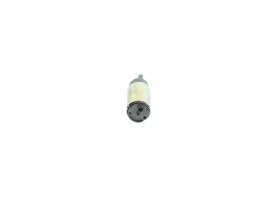Kraftstoffpumpe im Kraftstofftank BOSCH F 000 TE1 2N4 Bild Kraftstoffpumpe im Kraftstofftank BOSCH F 000 TE1 2N4