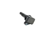 Zündspule BOSCH F 01R 00A 113