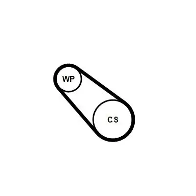 Wasserpumpe + Keilrippenriemensatz CONTITECH 3PK576 ELAST WP1 Bild Wasserpumpe + Keilrippenriemensatz CONTITECH 3PK576 ELAST WP1