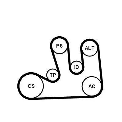 Keilrippenriemensatz CONTITECH 5PK1750K1 Bild Keilrippenriemensatz CONTITECH 5PK1750K1