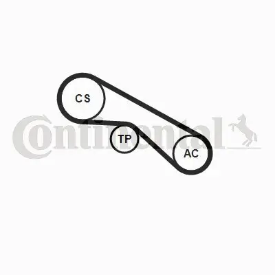 Keilrippenriemensatz CONTITECH 5PK884K1 Bild Keilrippenriemensatz CONTITECH 5PK884K1