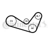 Keilrippenriemensatz CONTITECH 6PK1050K2 Bild Keilrippenriemensatz CONTITECH 6PK1050K2